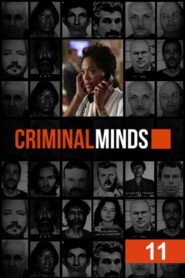 Image criminal-minds-72-episode-17-season-1.jpg