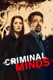 Image criminal-minds-76-episode-21-season-1.jpg